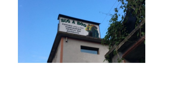 Chivasso, incendio al ristorante Bug a Boo