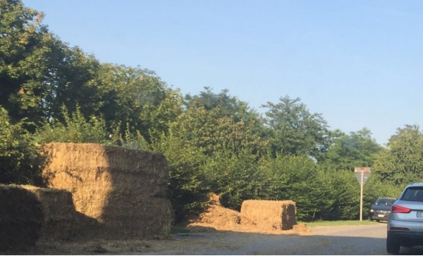 Provinciale invasa dal fieno