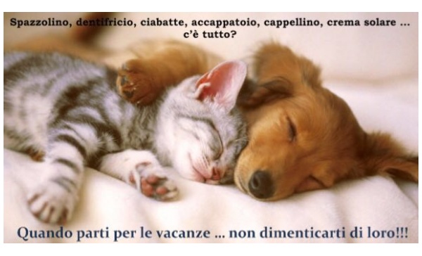 Vacanze estive, ricordatevi di portare con voi i vostri amici animali