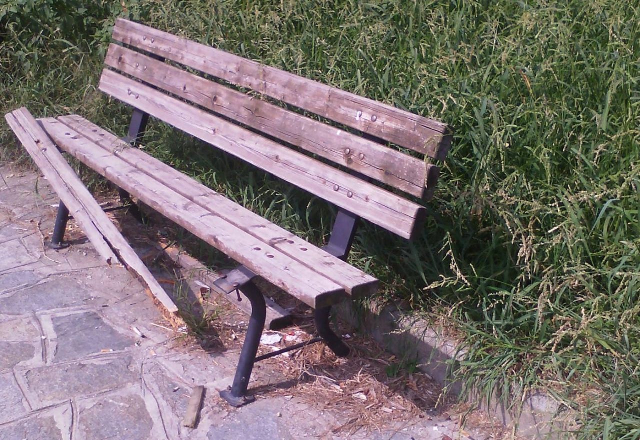 Erbacce e degrado nel giardinetto di fronte agli uffici dell’Asl