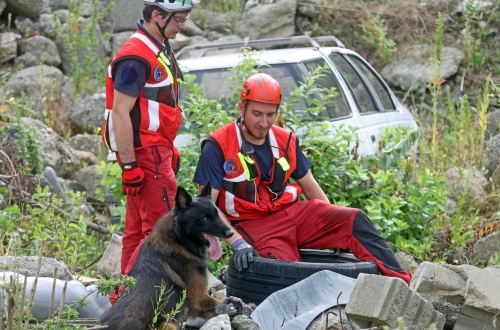 Settimo, ecco dove i cani da soccorso imparano a salvare vite tra le macerie (il video)