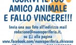 Torna "Simpatiche Zampette", il gioco per gli amici animali