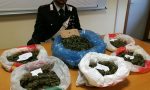 Un chilo di marijuana nel garage a Castiglione: arrestato