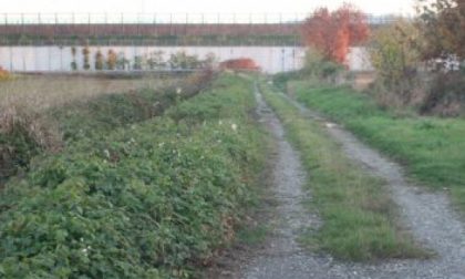 Nei boschi tra Chivasso e Montanaro corre un cavallo senza testa: la leggenda