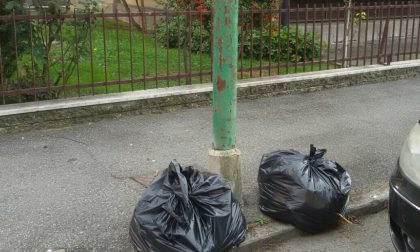 Settimo: tagliano l'erba, ma lasciano in strada dei sacchetti di rifiuti