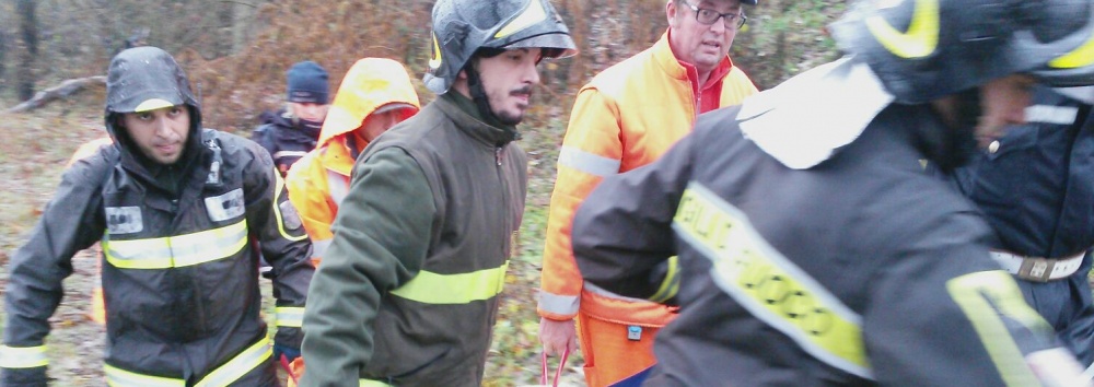 Strage di pecore nel Po a Chivasso