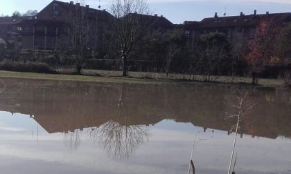 Torino (Meisino): Dopo le forti piogge, la situazione sta migliorando, ma i campi restano allagati