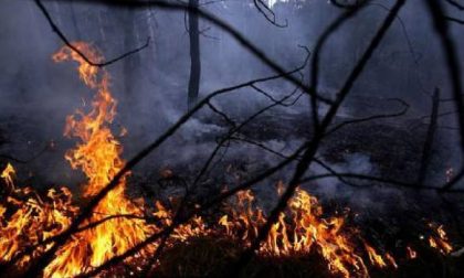 Incendi boschivi: scatta l'emergenza
