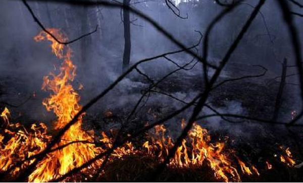 Incendi boschivi: scatta l’emergenza