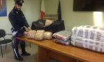 Arrestato corriere della droga: in auto nascondeva 50 kg di marijuana