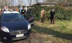 Castiglione, ladri scatenati: spruzzano spray urticante ai cani per entrare in casa