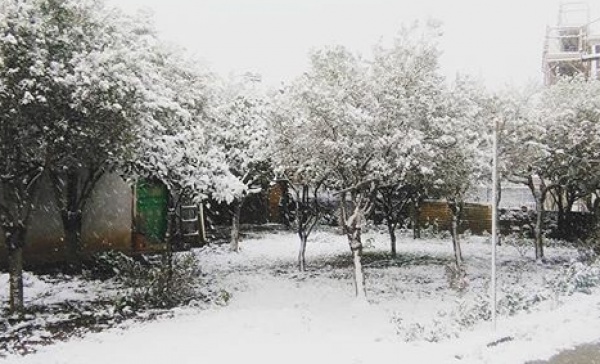 Freddo, martedì arriva la neve a bassa quota