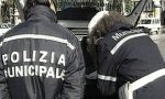 A Torino è caccia al cervo