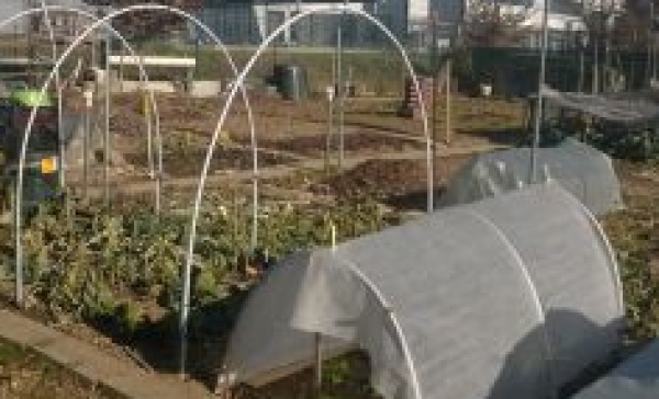 Caldo e sole, nel tempo libero si torna a coltivare gli orti