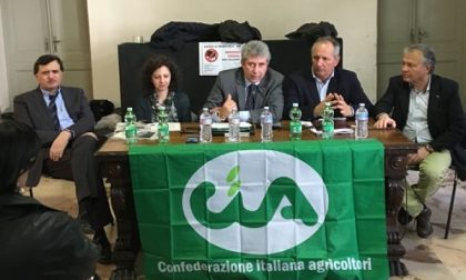 Emergenza cinghiali, danni per 66mila euro