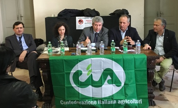 Emergenza cinghiali, danni per 66mila euro