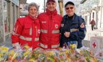 Festa della donna, a Settimo la Croce Rossa porta le mimose in piazza