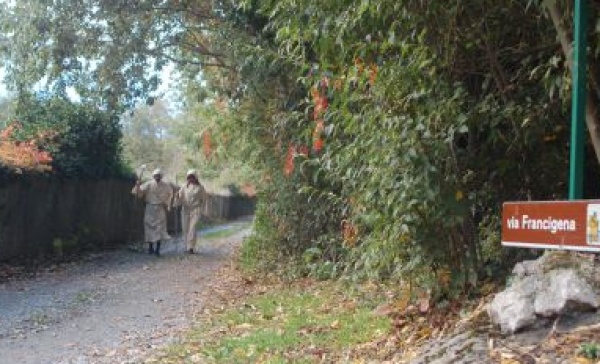 La Via Francigena candidata per rientrare nel patrimonio dell’Unesco