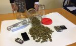 Marijuana in cantina, arrestato Christian Mammino