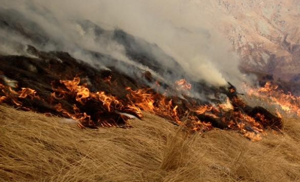 Incendi boschivi, revocato lo stato di massima pericolosità