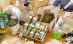 Droga, sgominata la banda dei due cugini: sequestrate 2 serre di Marijuana e 22 mila euro in contanti (il video del blitz)