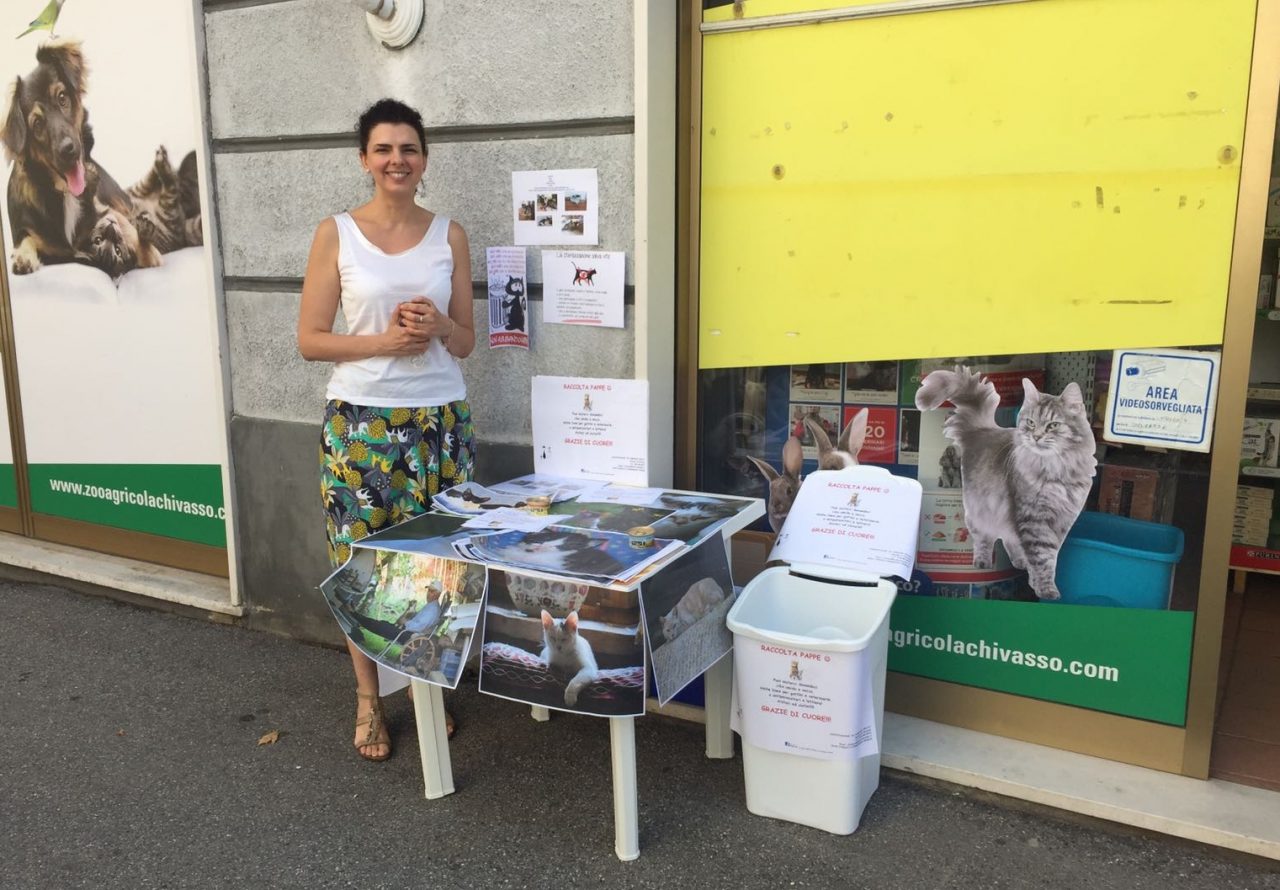 Chivasso, Le Vibrisse raccolgono pappe per i gatti