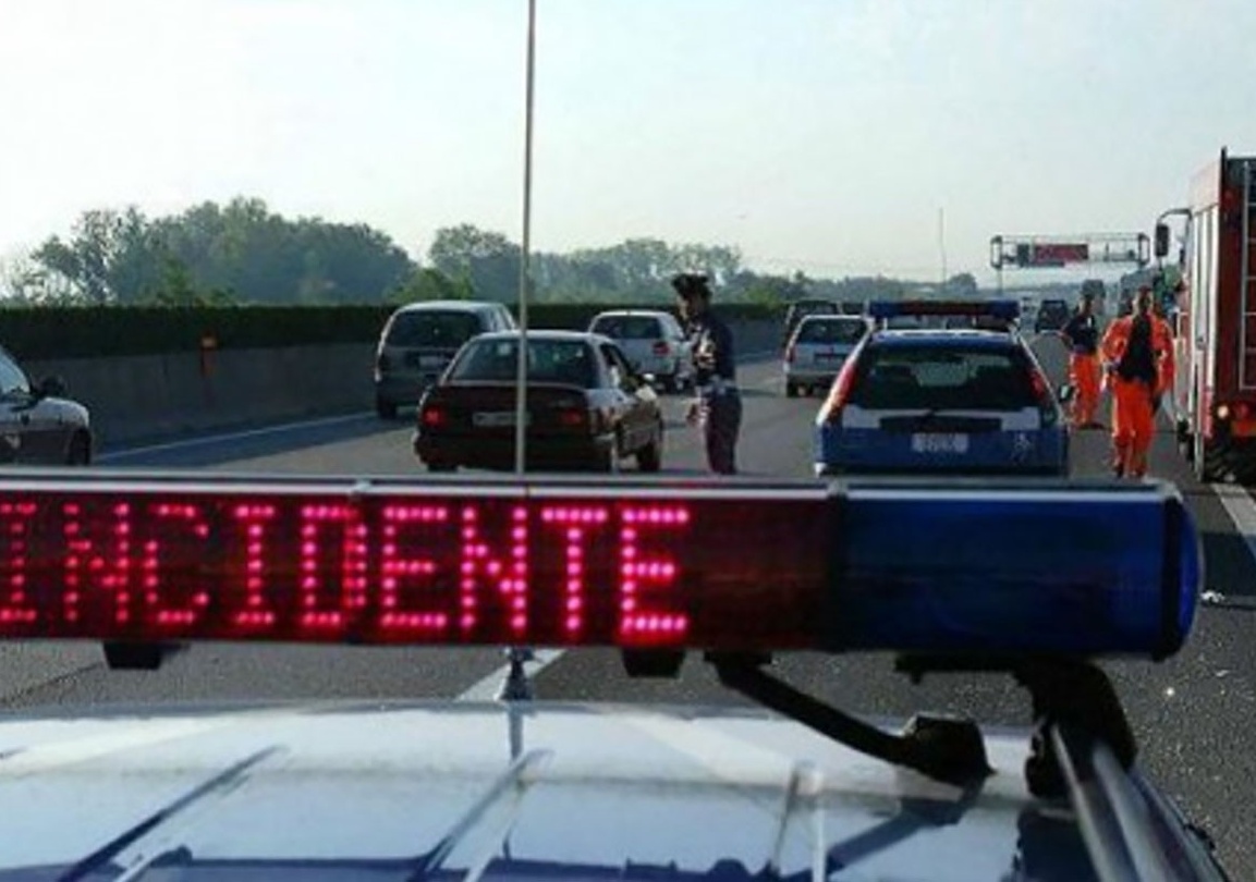 Due cavalli liberi in autostrada