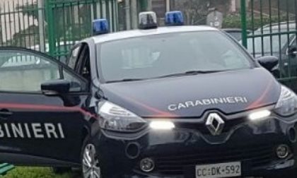 Lancia i suoi cani dalla finestra e li prende a calci: denunciato