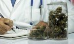 Moncrivello, la cannabis come medicina