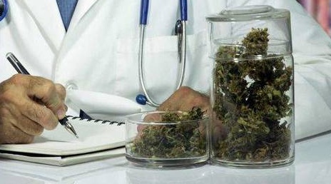 Cannabis light occhio alla patente LE INFORMAZIONI