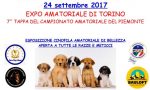 Mostra di cani a Rondissone