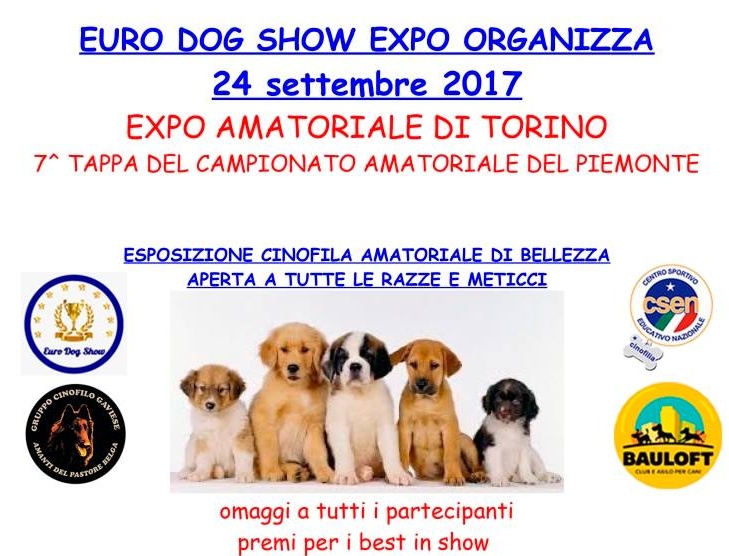 Mostra di cani a Rondissone