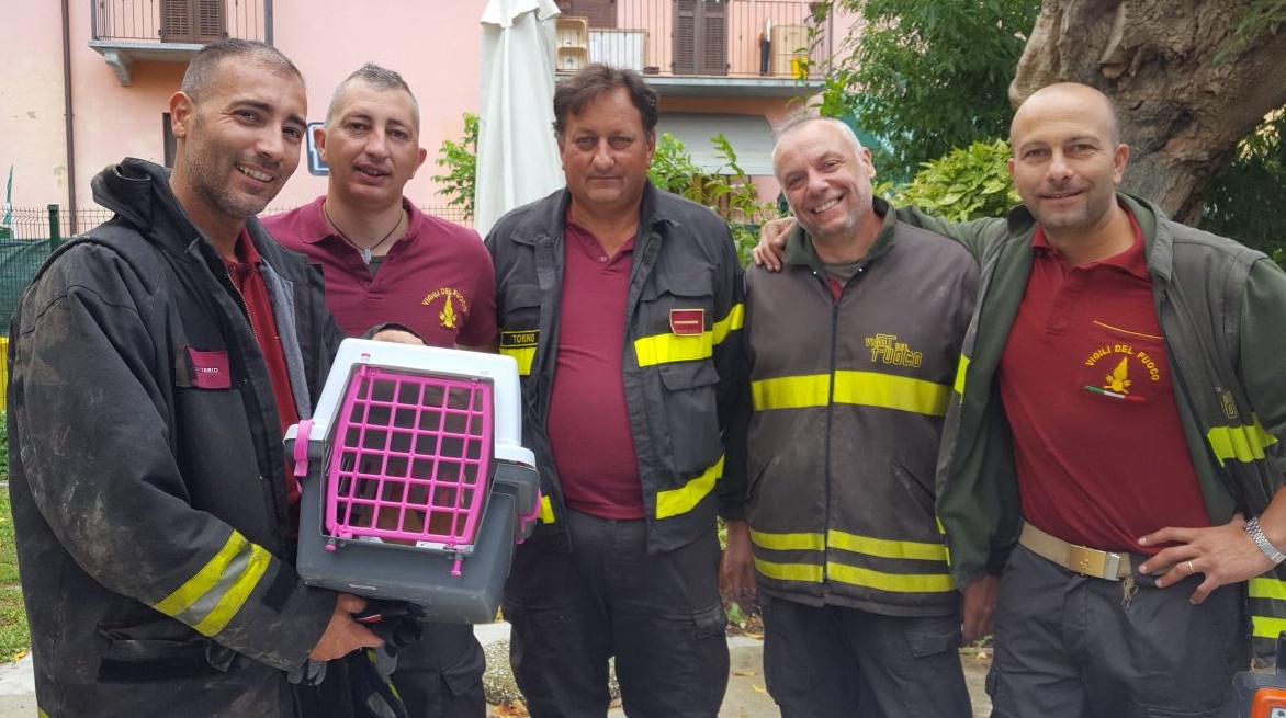 Pompieri salvano gatto caduto nel pozzo
