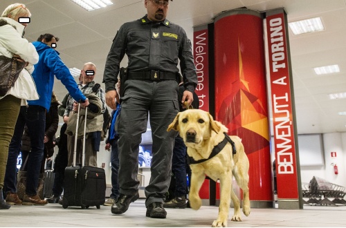 Il fiuto del cane anti-soldi Zeby fa scoprire 200mila euro
