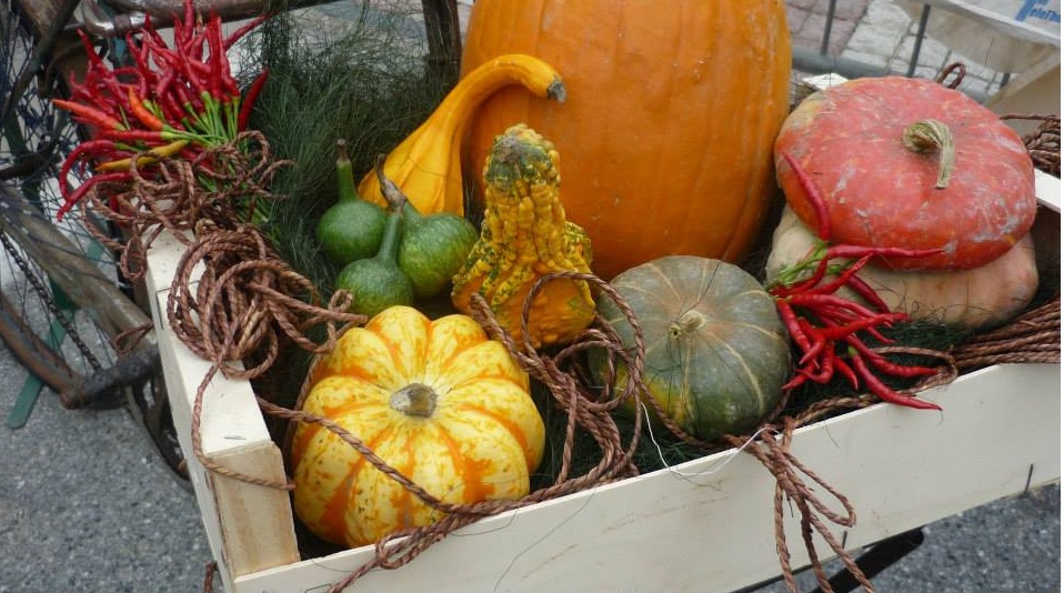 Parte la Sagra della Zucca 2017