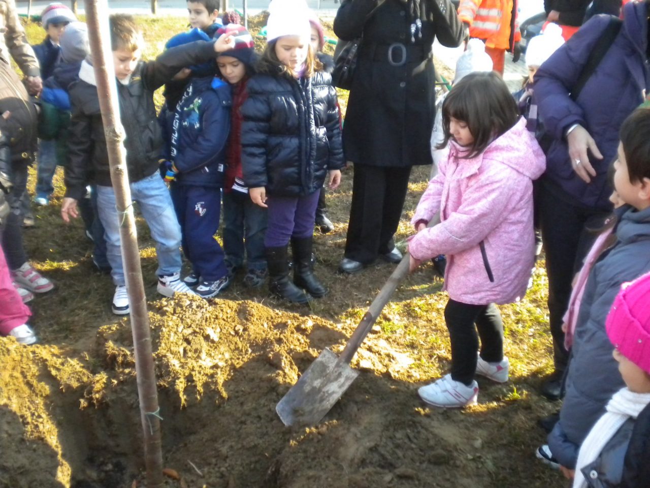 Festa dell’albero con Legambiente