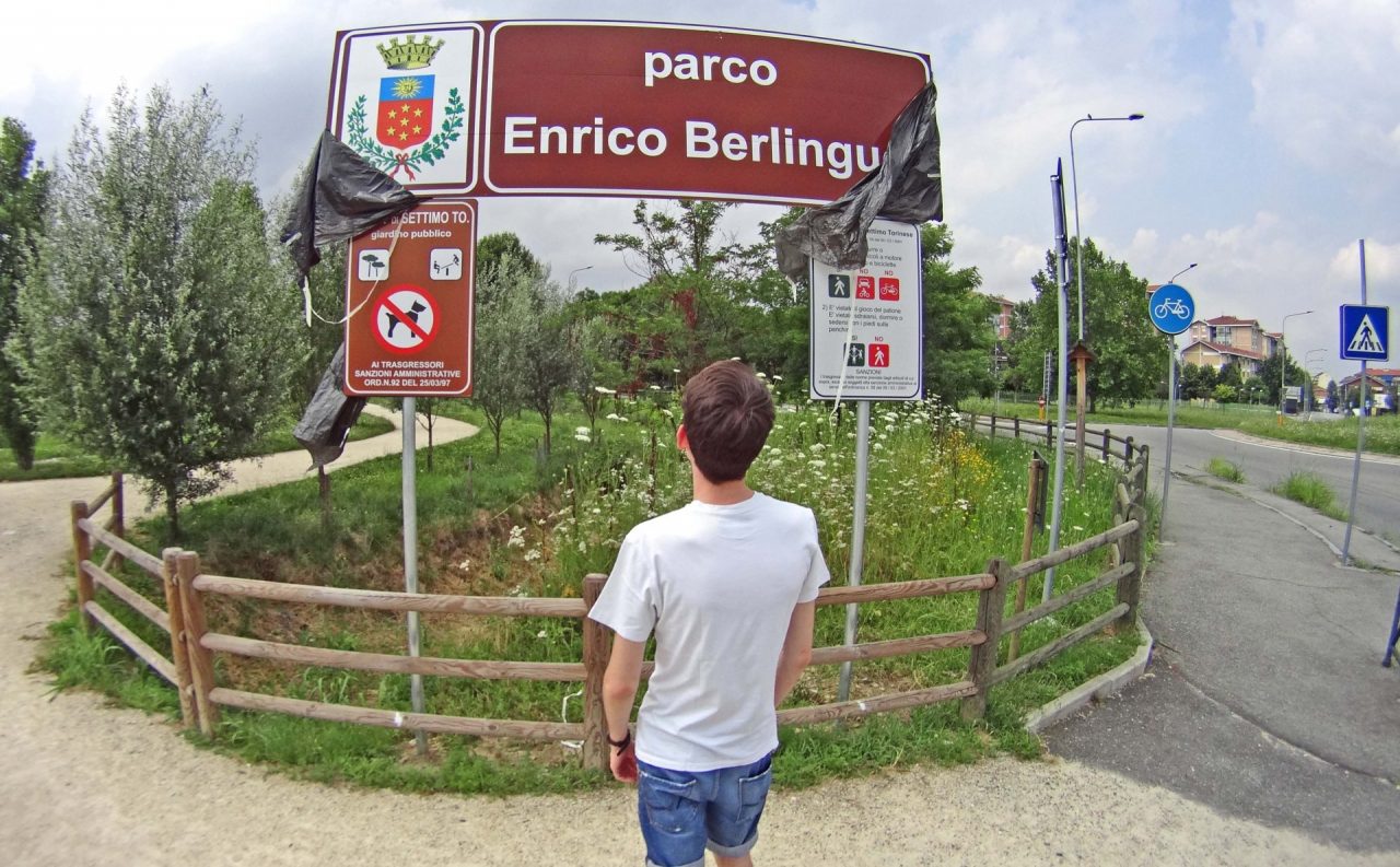 Bosco in città nuovi alberi nei parchi