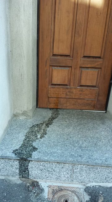 Urina di animale su una porta di casa