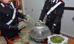 Marijuana scoperta fabbrica IL VIDEO
