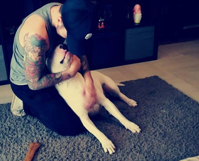 Bull terrier Sid liberato dal canile