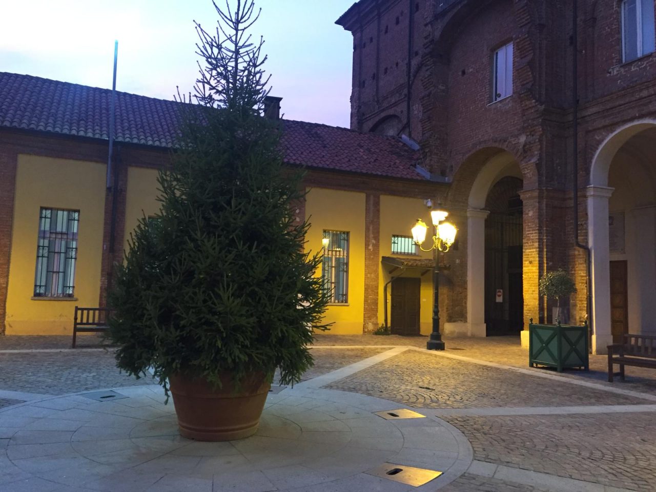 Comune uccide albero di Natale