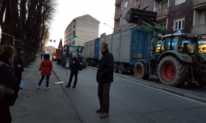 Ambientalisti bloccano mezzi no al taglio dei tigli IL VIDEO