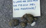 Cartello contro escrementi dei cani