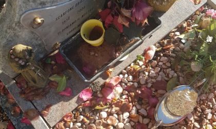 Rubano fiori al cimitero vergognoso