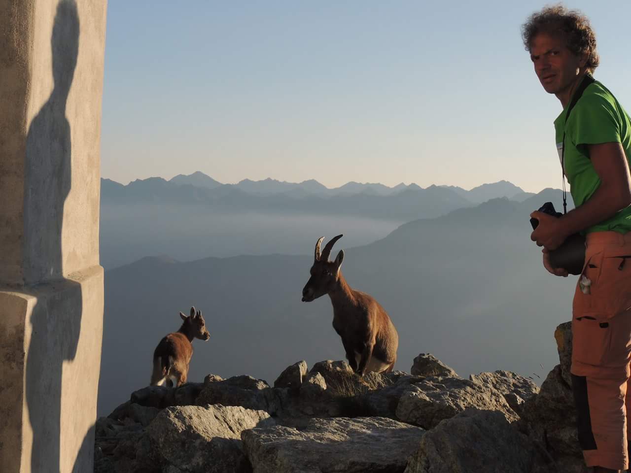 Morta guida alpina in montagna