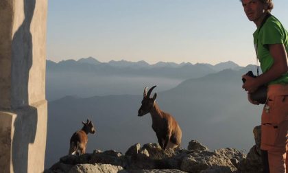 Morta guida alpina in montagna