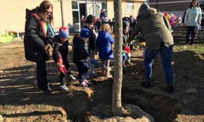 Festa dell'albero con la scuola dell'infanzia