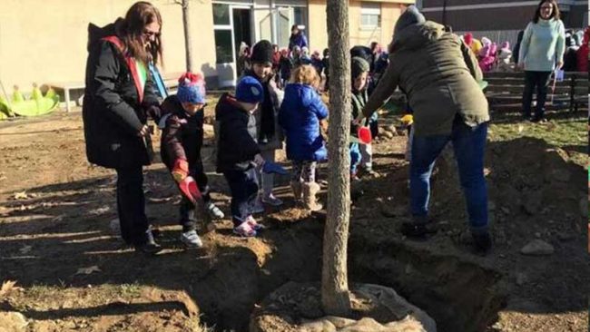 Festa dell’albero con la scuola dell’infanzia