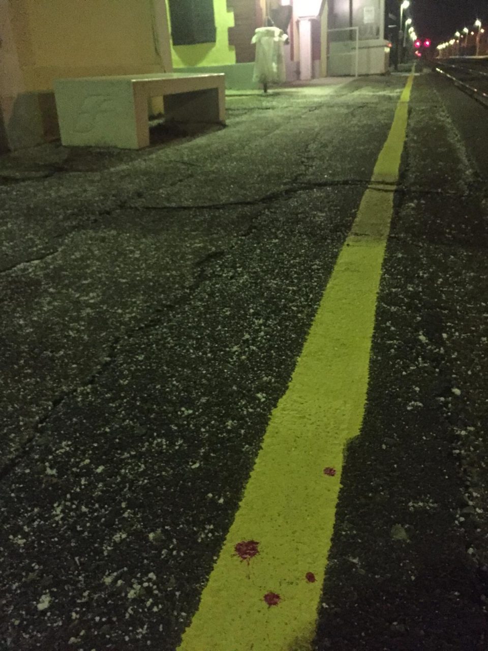 Travolto ragazzo treno Rodallo