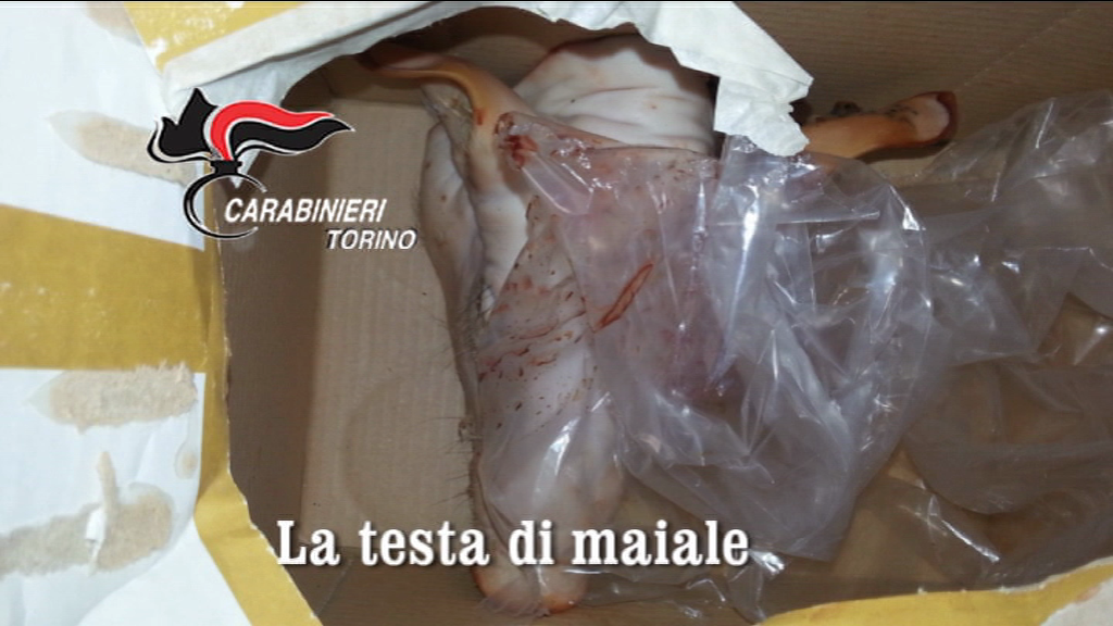 Testa di maiale mafia o scherzo di cattivo gusto?